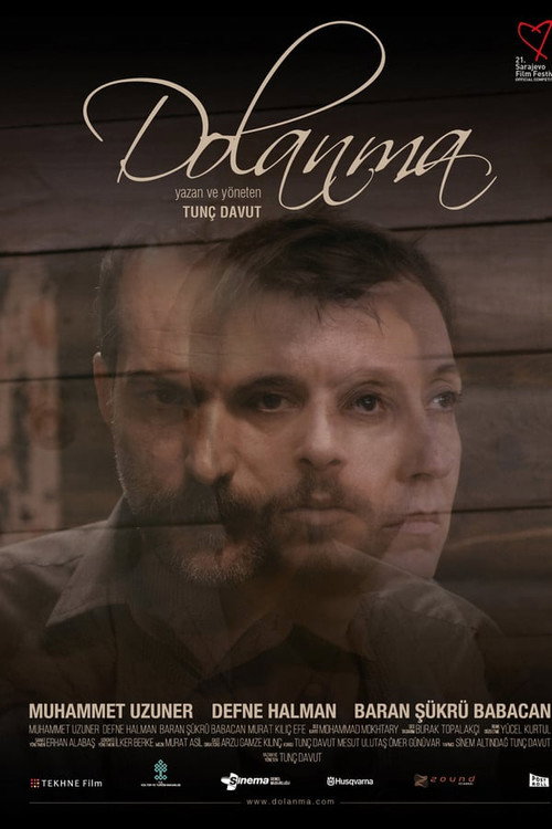 Movie poster for Entanglement (2015)