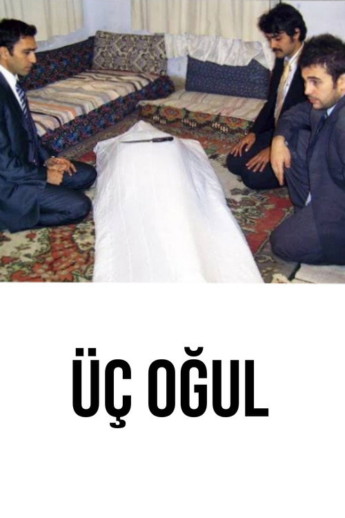 Movie poster for Üç Oğul (2007)