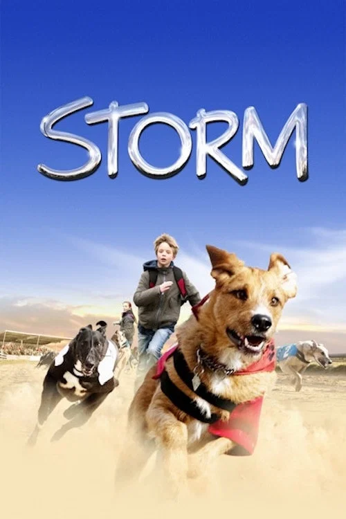 Movie poster for Storm (2009)