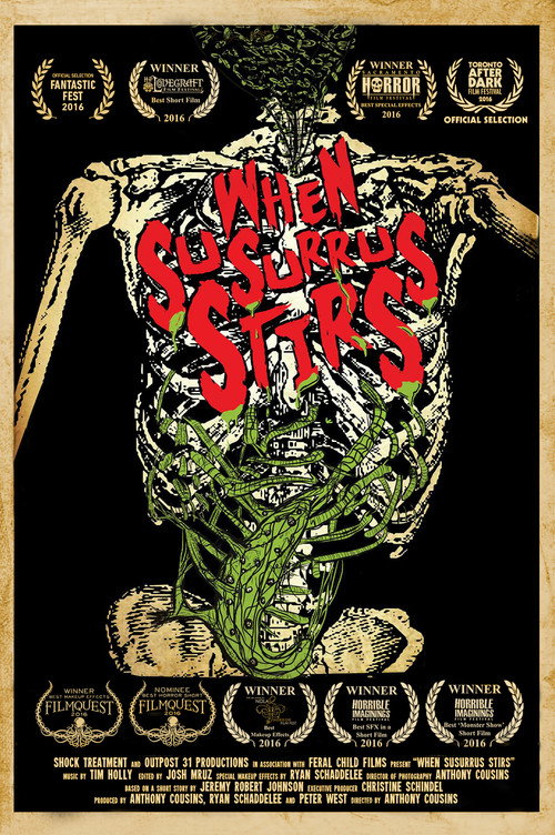 Movie poster for When Susurrus Stirs (2016)