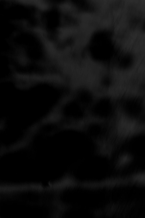 Movie poster for Black Trees (2026)