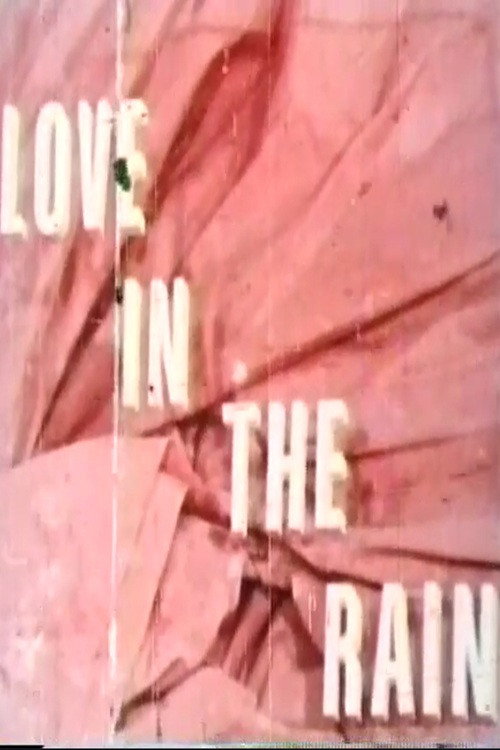 Movie poster for Love in the Rain (1971)
