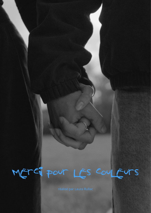 Movie poster for Merci pour les couleurs