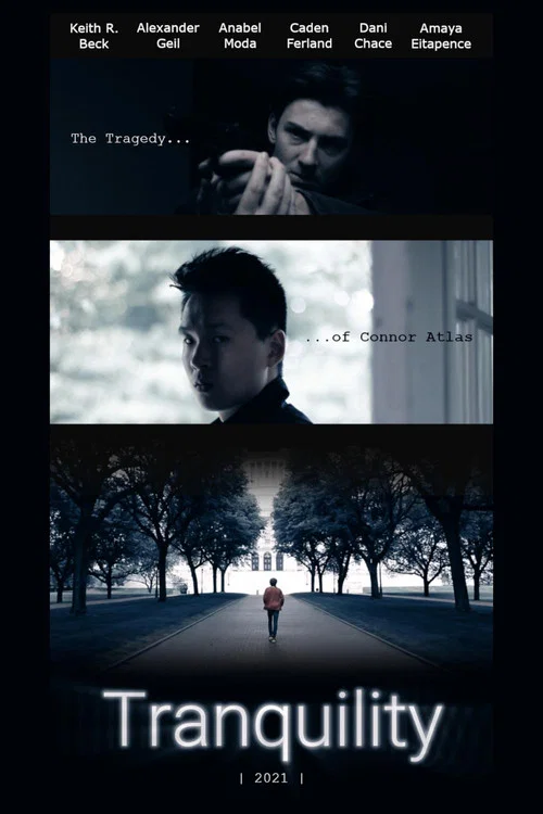 Movie poster for Tranquility - An Independent Film (2021)