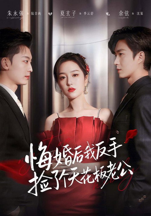Series poster for 悔婚后我反手捡了个天花板老公 (2026)