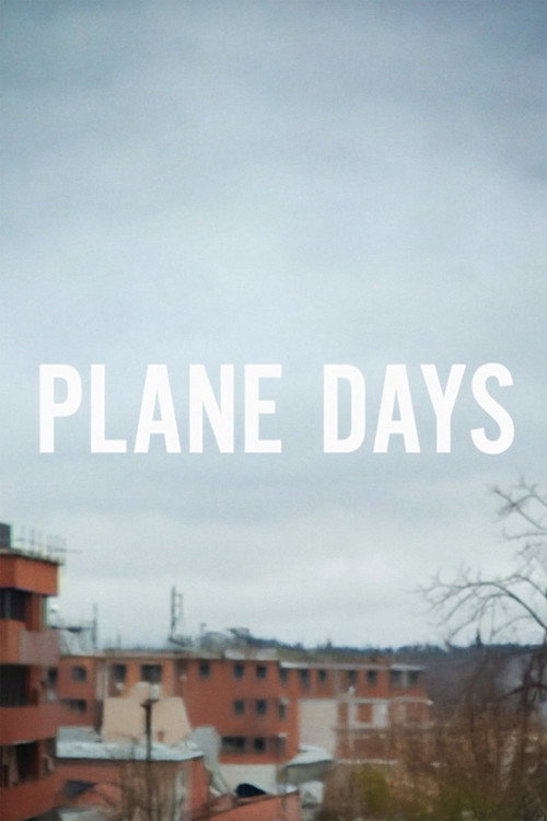 Movie poster for Plane Days (2008)