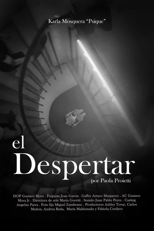 Movie poster for Awake / El despertar (2024)