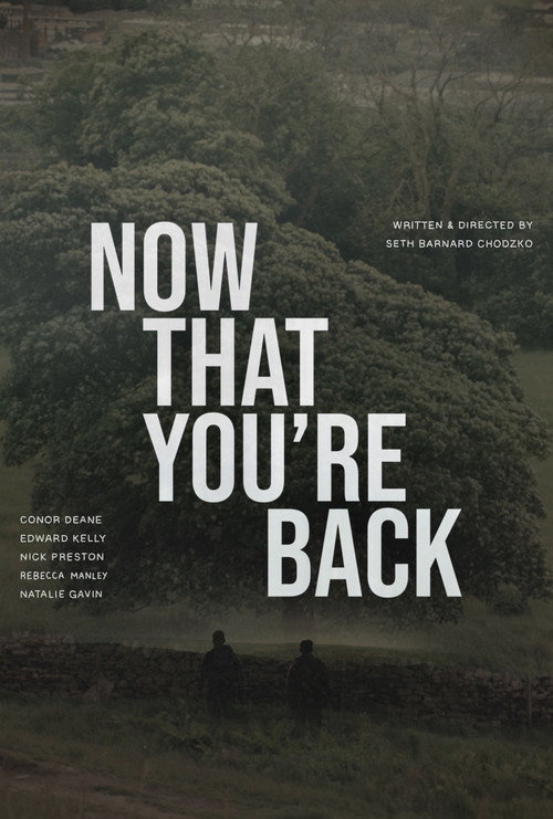 Movie poster for Now That You’re Back