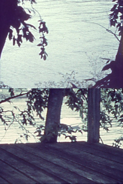 Movie poster for Silently, Bearing Totem of a Bird (1962)