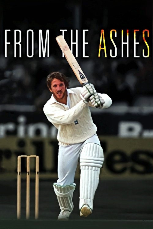 Movie poster for From the Ashes (2011)
