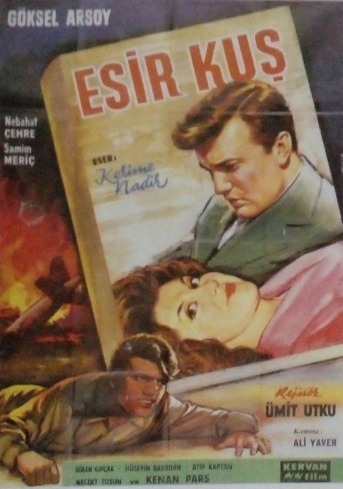 Movie poster for Esir Kuş (1962)