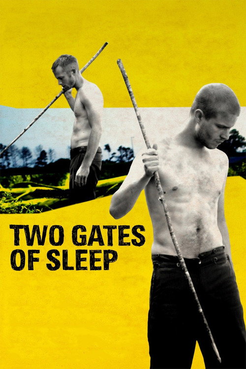 Movie poster for Two Gates of Sleep (2010)