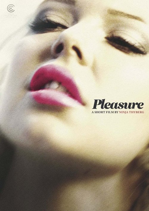 Movie poster for Pleasure (2013)