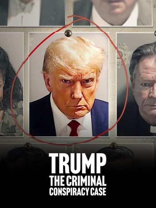 Movie poster for Trump: The Criminal Conspiracy Case (2024)