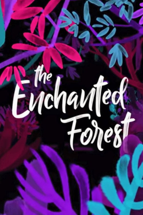 Movie poster for The Enchanted Forest (2017)