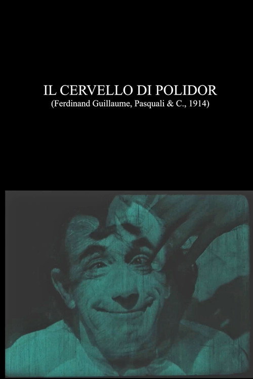 Movie poster for Il cervello di Polidor (1914)