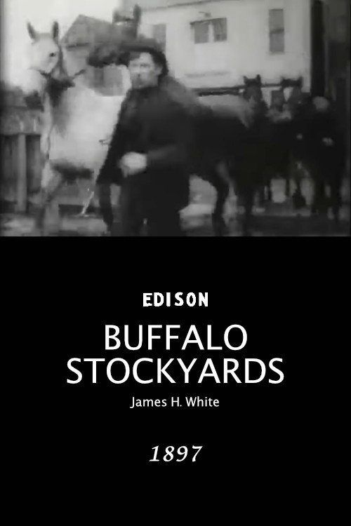 Movie poster for Buffalo Stockyards (1897)