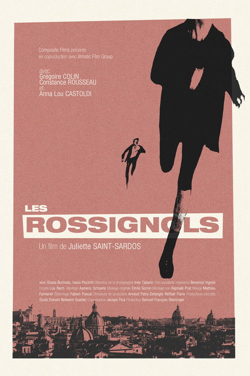 Movie poster for The Nightingales (2022)