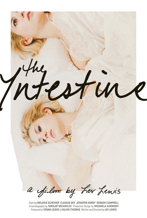 Movie poster for The Intestine (2016)