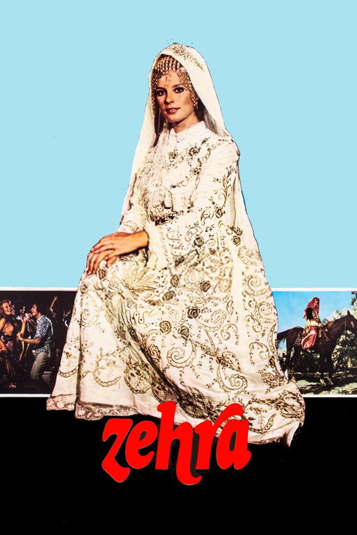 Movie poster for Zehra (1972)