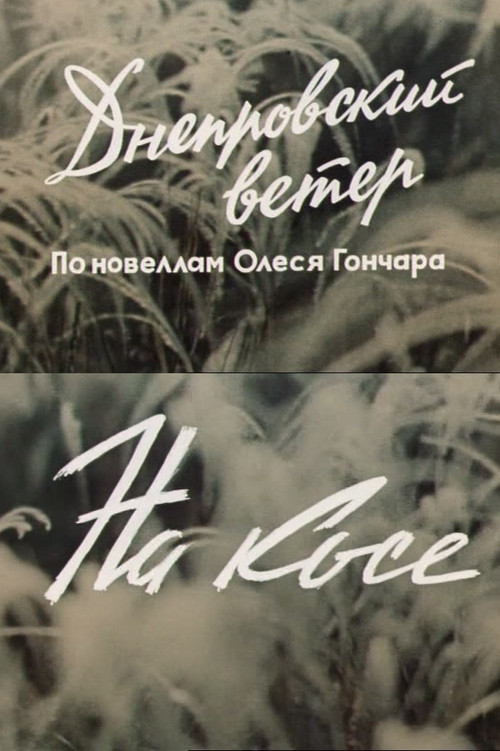 Днепровский ветер. На косе. poster
