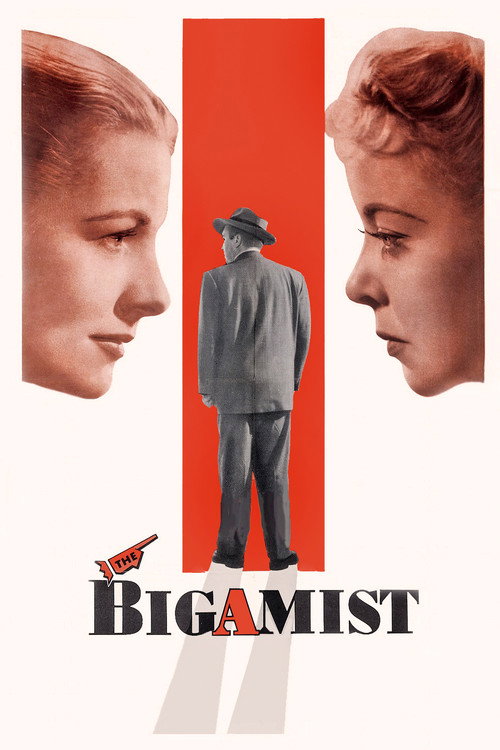 Movie poster for The Bigamist (1953)
