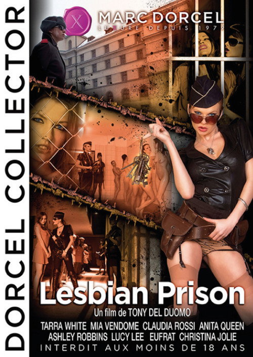 Movie poster for Lesbian Prison (2009)
