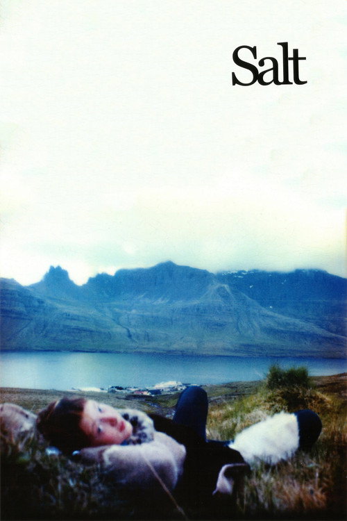 Movie poster for Salt (2003)
