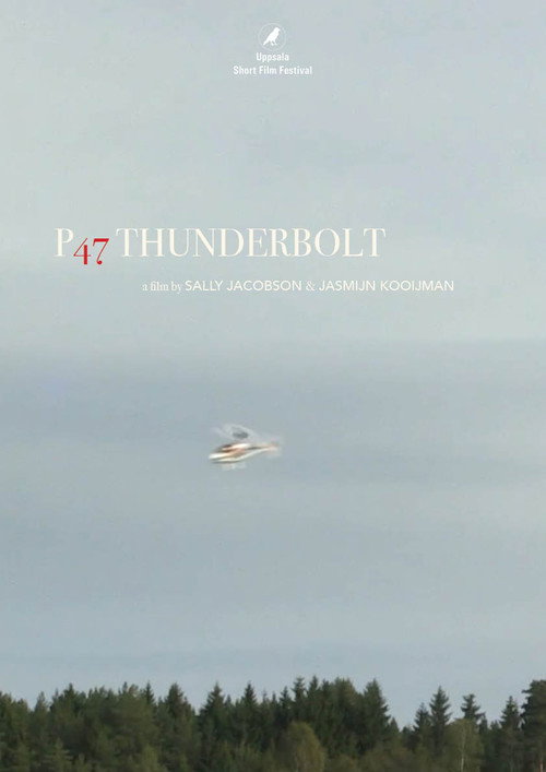 Movie poster for P47 Thunderbolt (2016)