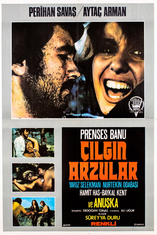 Movie poster for Çılgın Arzular (1974)