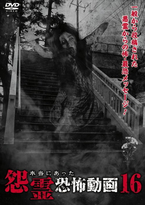Movie poster for Real Vengeful Ghost Horror Video 16 (2016)