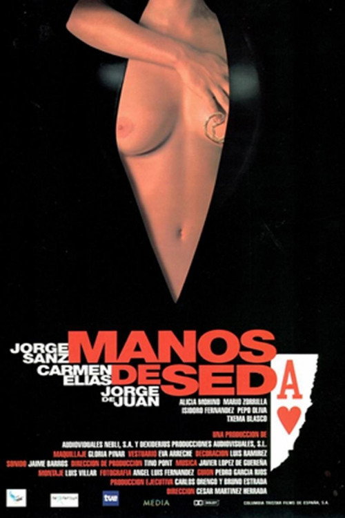Movie poster for Manos de seda (1999)
