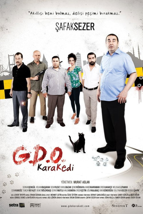 Movie poster for G.D.O. KaraKedi (2013)