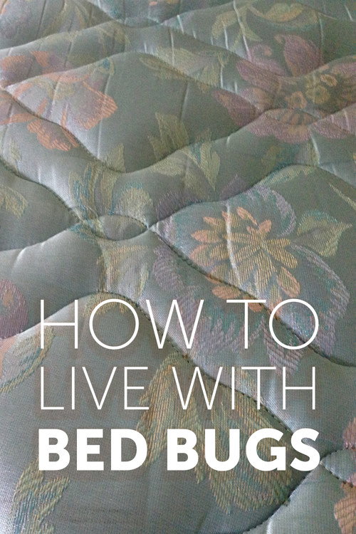 Movie poster for How to Live with Bed Bugs (2013)