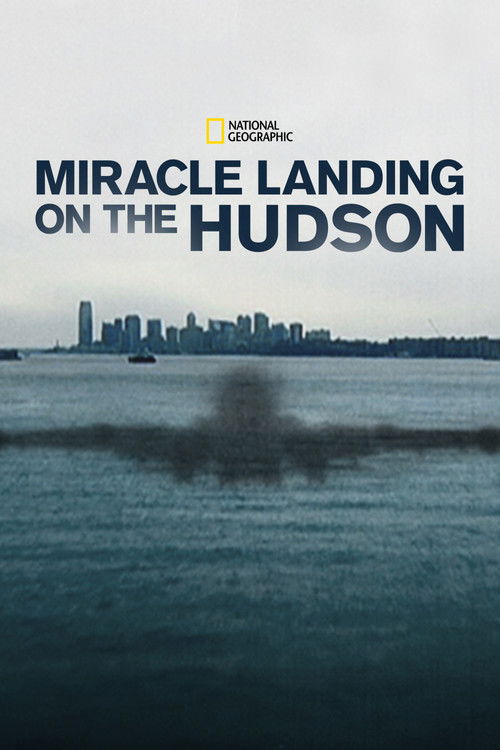 Movie poster for Miracle Landing on the Hudson (2014)