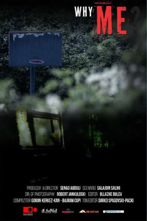 Movie poster for Why Me? (2018)
