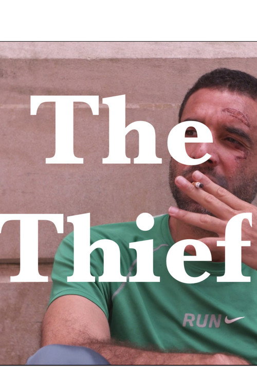 Movie poster for The Thief (2019)