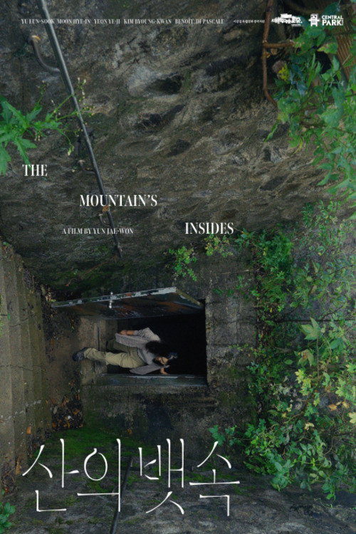 Movie poster for The Mountain’s Insides (2024)