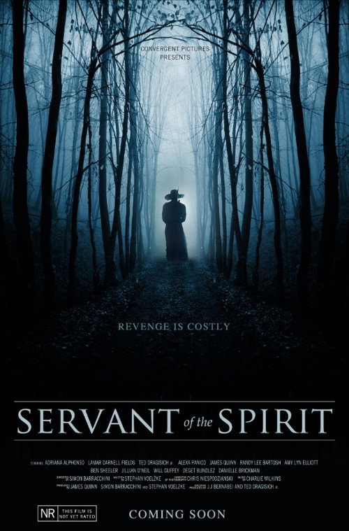 Movie poster for Servant of the Spirit