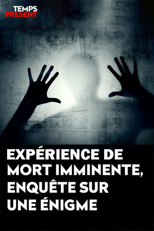 Movie poster for Temps présent - expérience de mort imminente, enquête sur une énigme (2021)