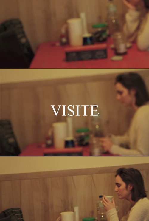 Movie poster for VISIT (2024)