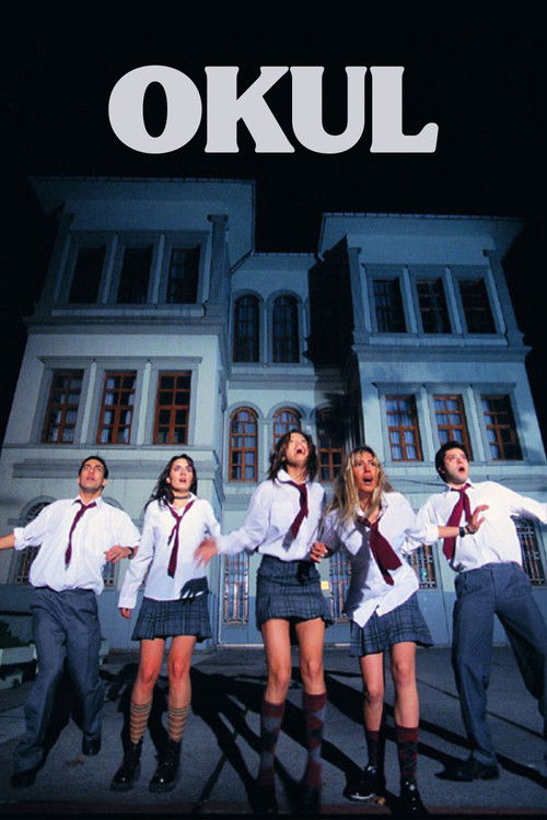 Movie poster for Okul (2004)