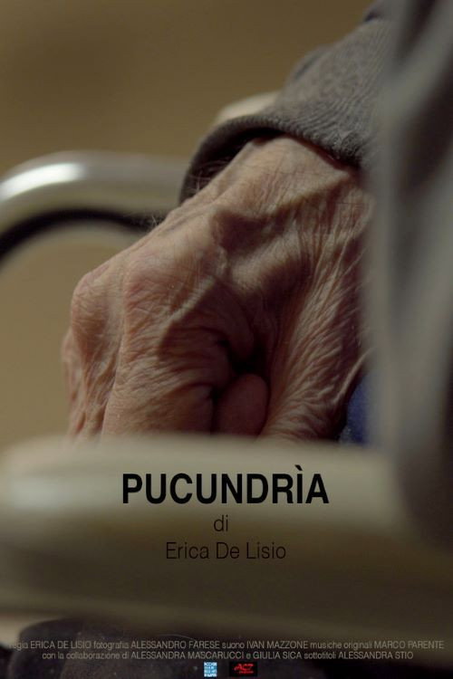 Movie poster for Pucundrìa (2019)