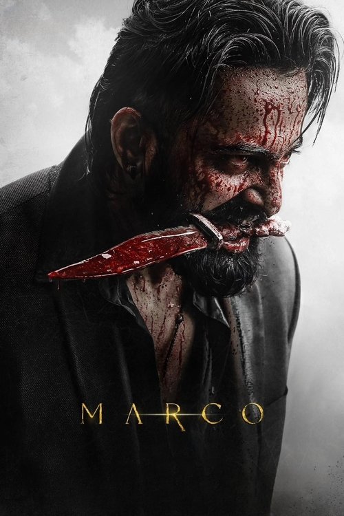 Movie poster for Marco (2024)
