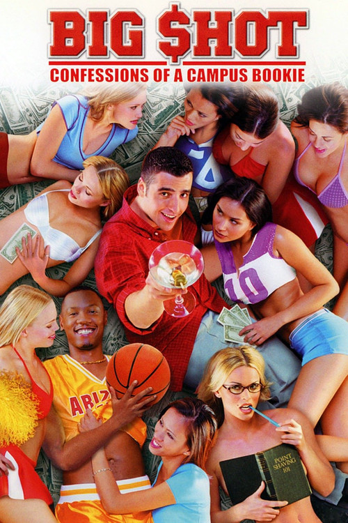 Movie poster for Big Shot: Confessions of a Campus Bookie (2002)