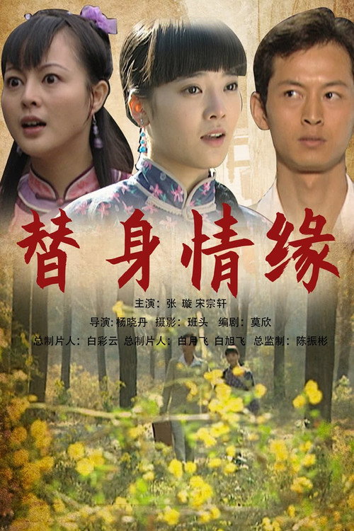 Movie poster for 替身情缘 (2009)