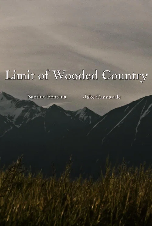 Movie poster for Limit of Wooded Country (2018)
