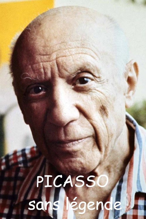 Movie poster for Picasso sans légende (2023)