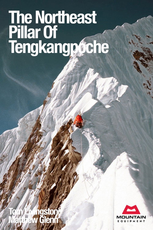 Movie poster for The Northeast Pillar Of Tengkangpoche (2022)