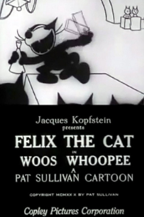 Movie poster for Woos Whoopee (1928)